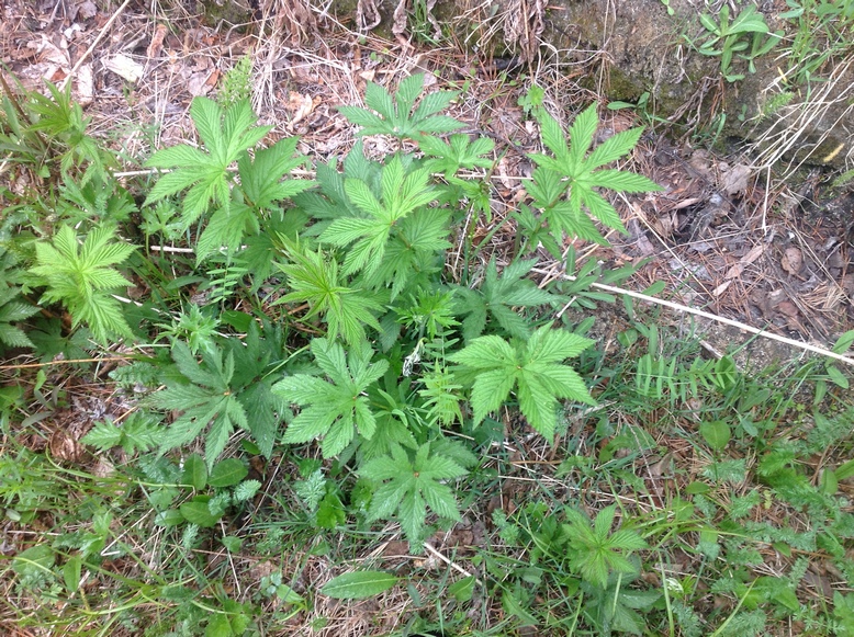 ��������