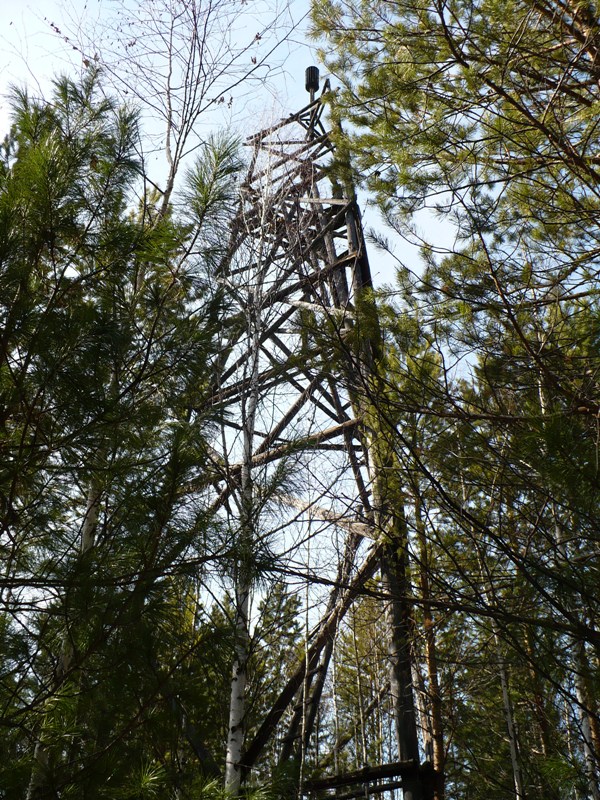 ���� ��� �����