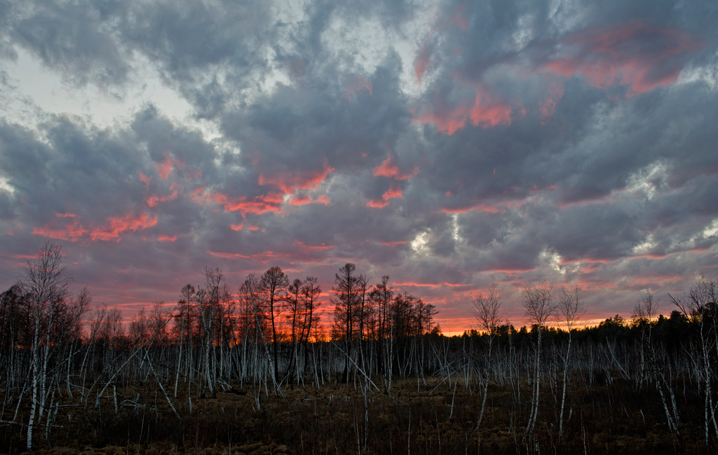 �������� ���