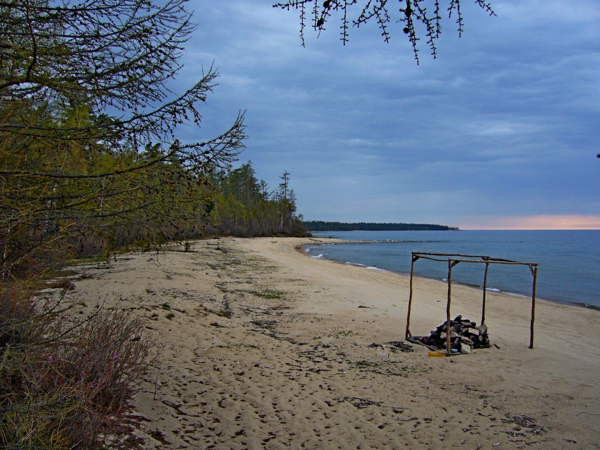 ����� ����