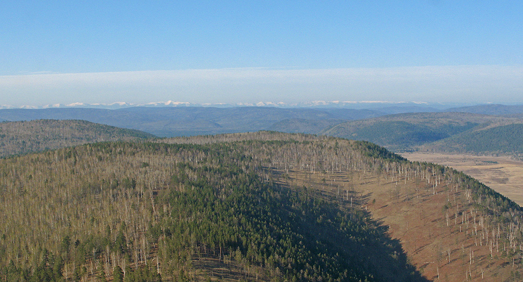 � �������������