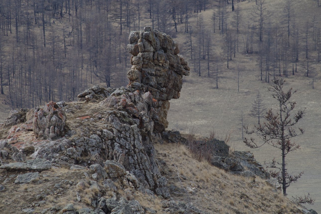 ��������� ������