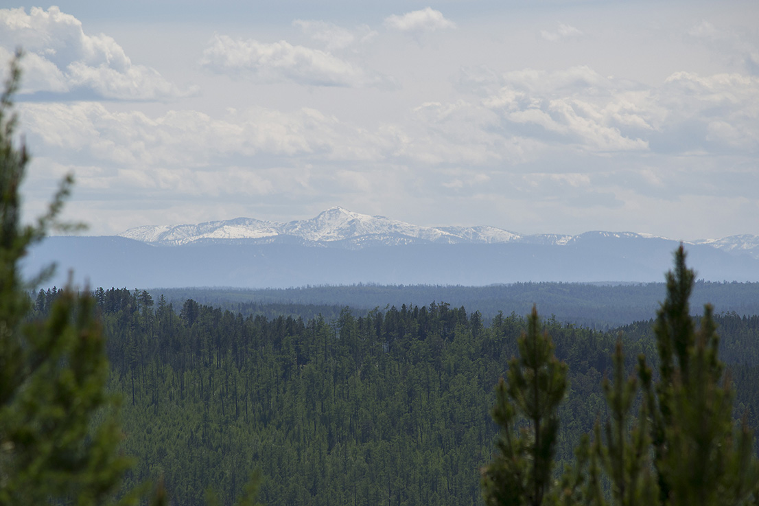 �� ��������� "��������"