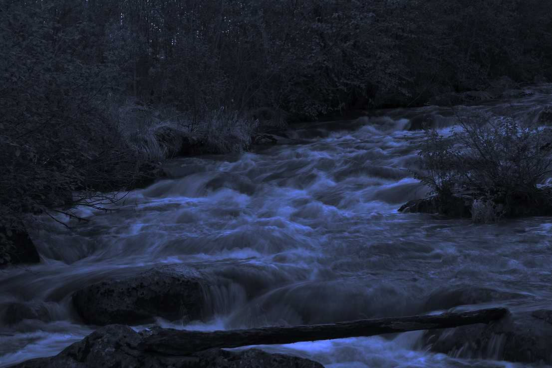 ������� ����