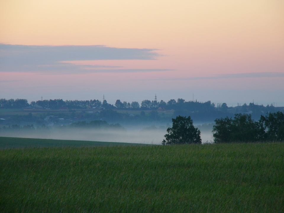 � ����� ������ ���� �