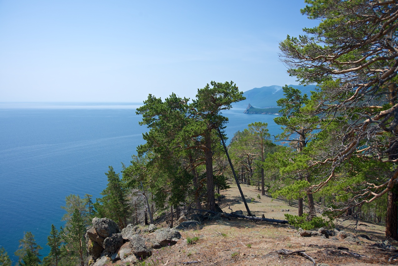 �� ����� � ����� �����