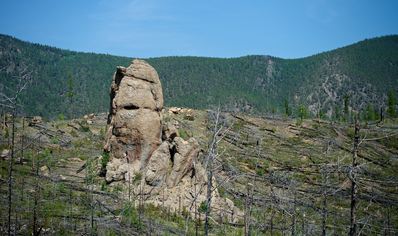 ������� ��� � ����� �������