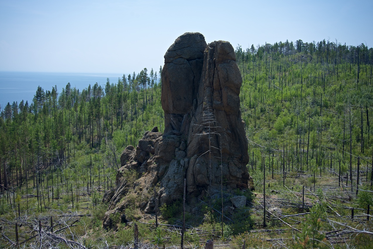 �������_6