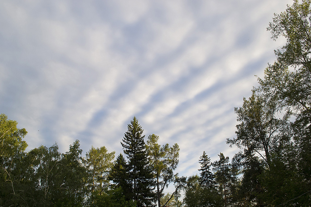 ������������� ����������������