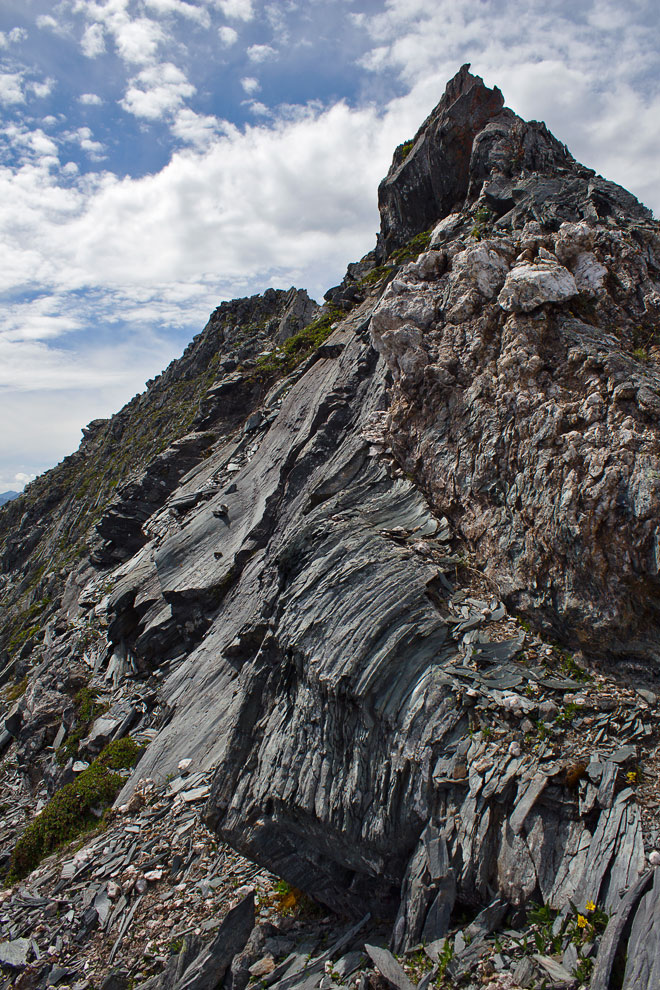 ������ � �����