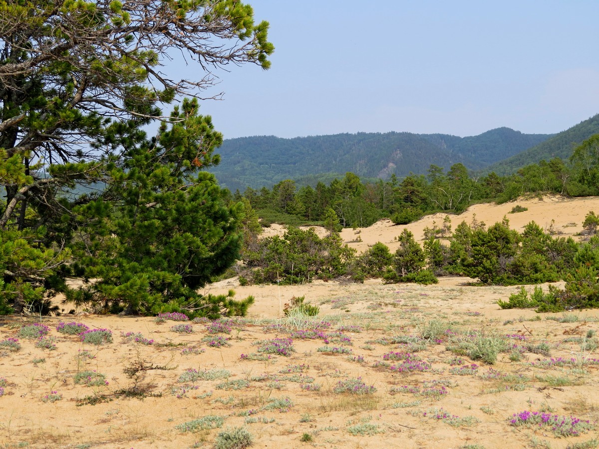 �� �����