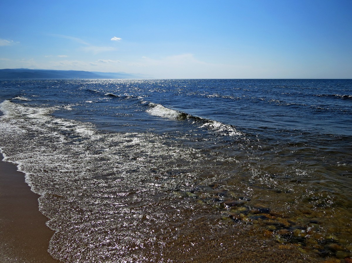 ��� ����