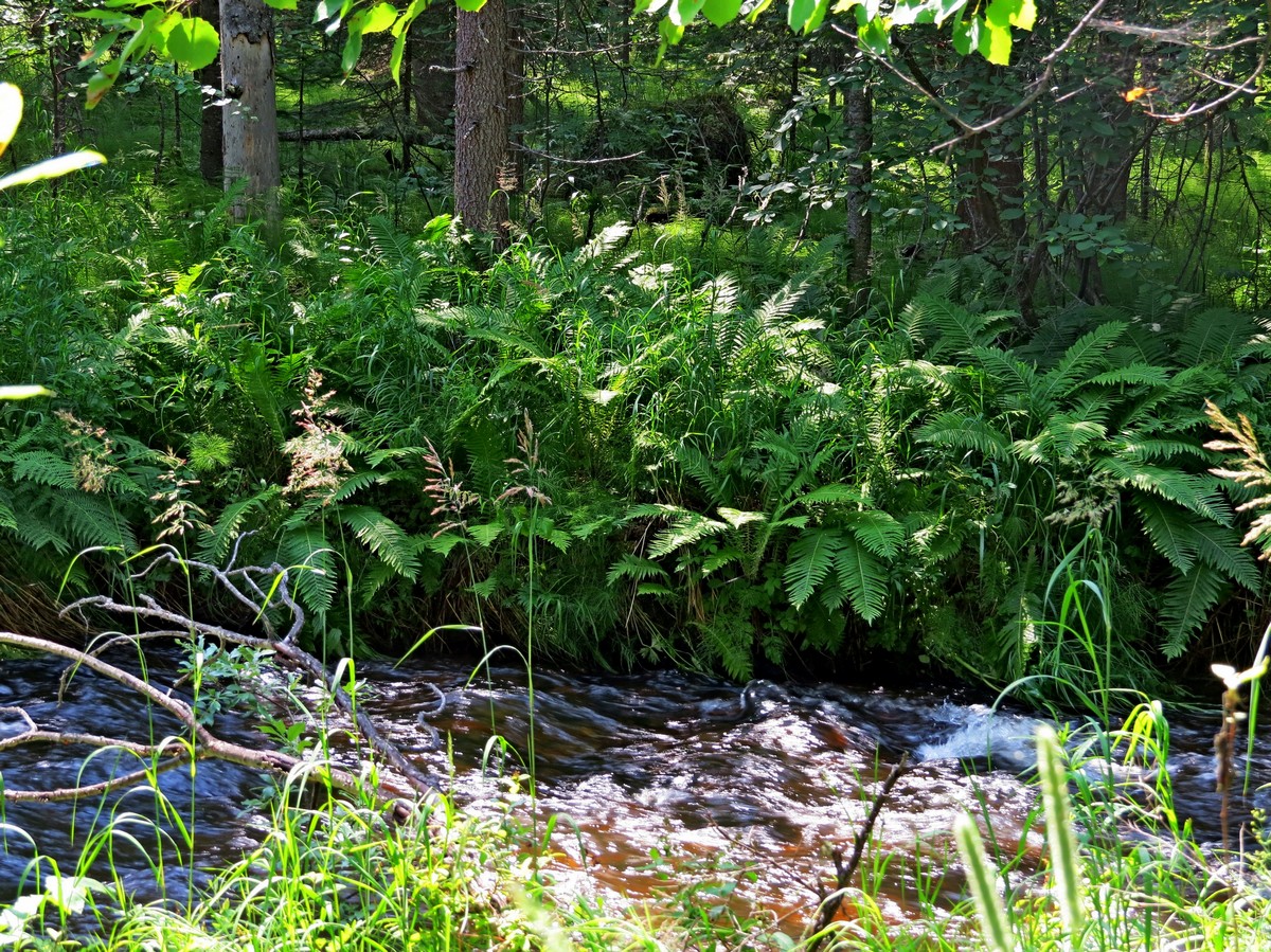 �������������� ������ �� ���. �����������