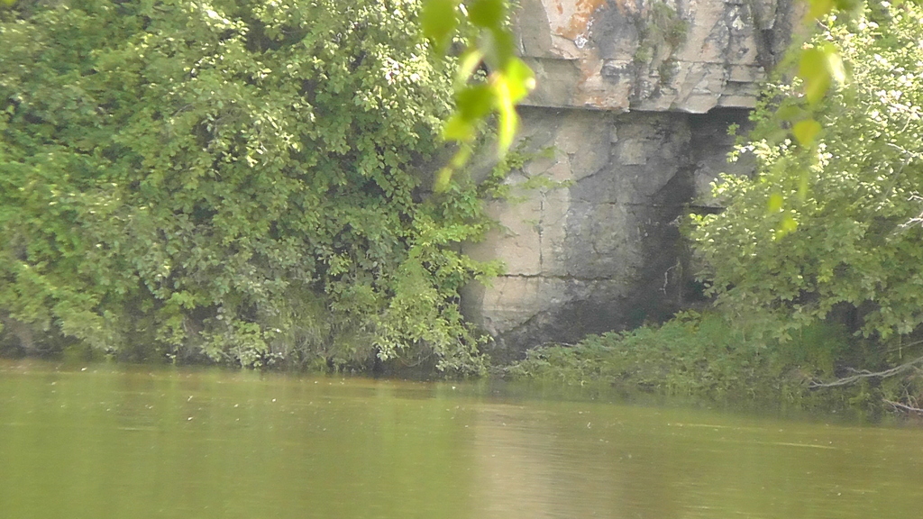 ���� ������� �����