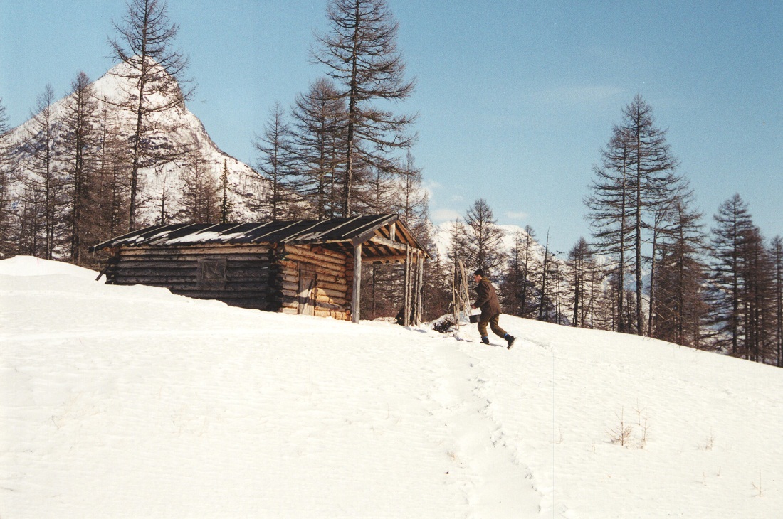 ����� ������ ���������� �����������