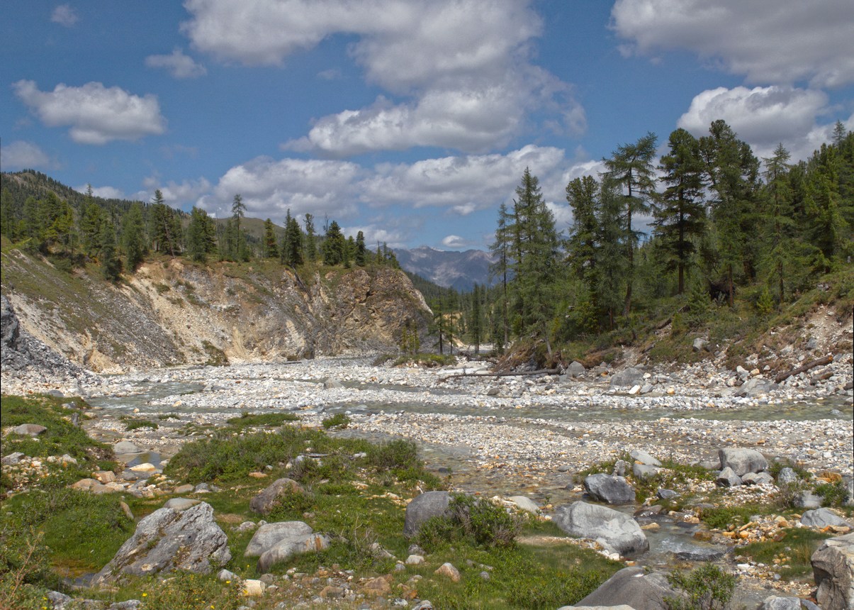 ������� ����� �� ������