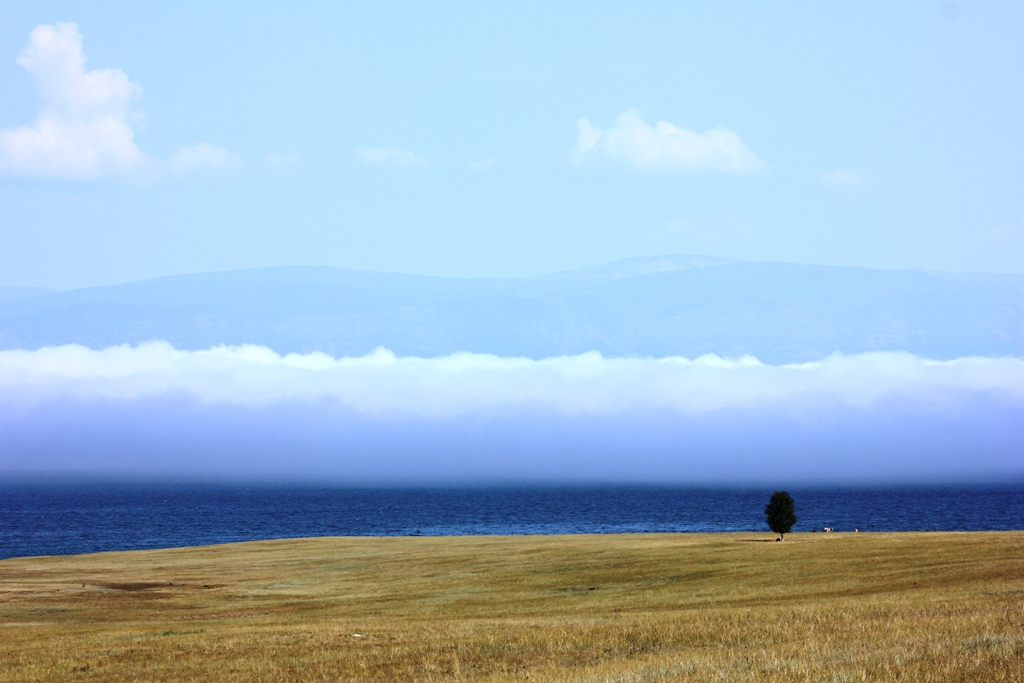 ���� ���� �������