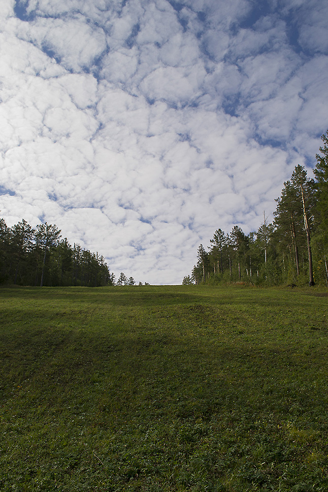 Altocumulus translucidus