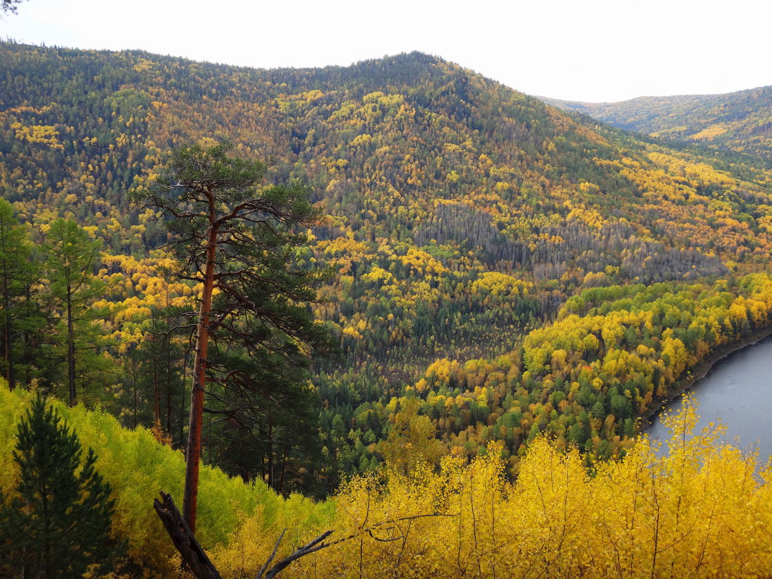 ����� � ��������� ����