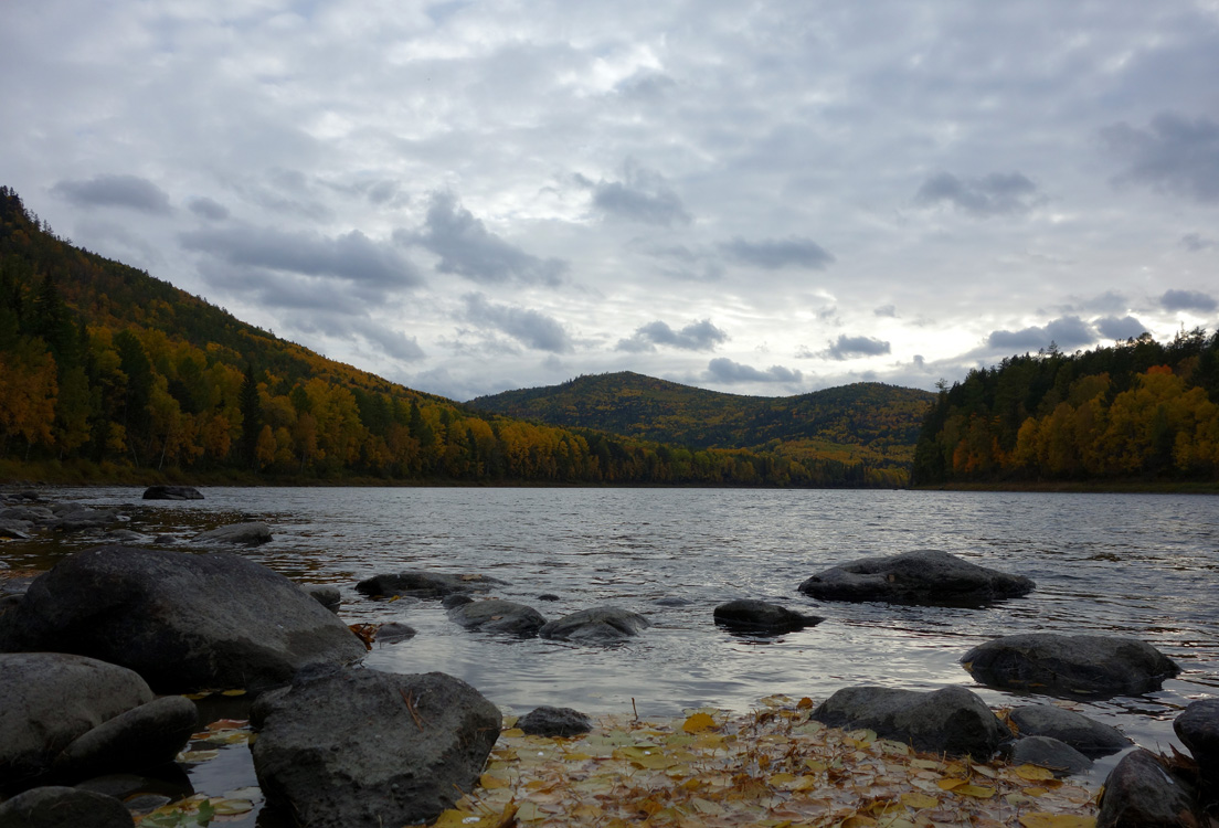 ������� ����� �� �. �����