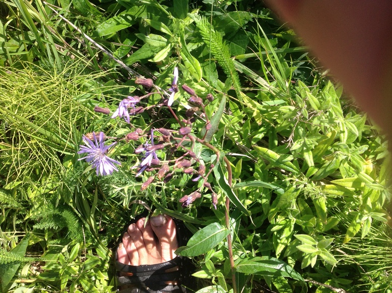 ����� ���������