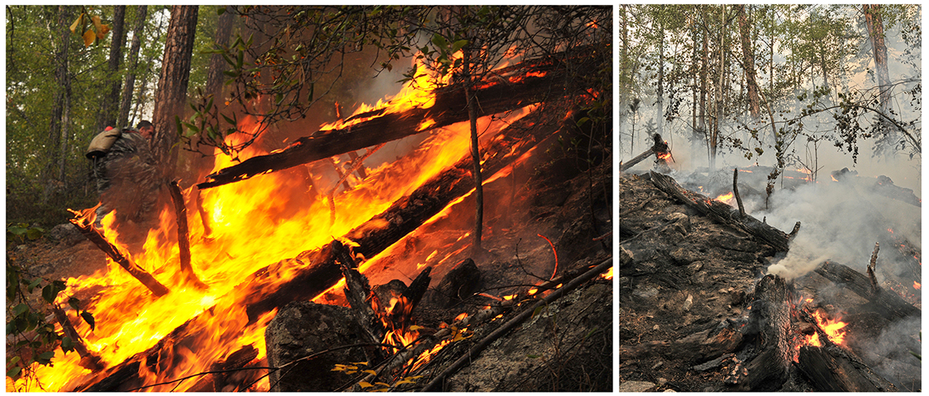 ����������� 2015. �������� � ��������� ����������