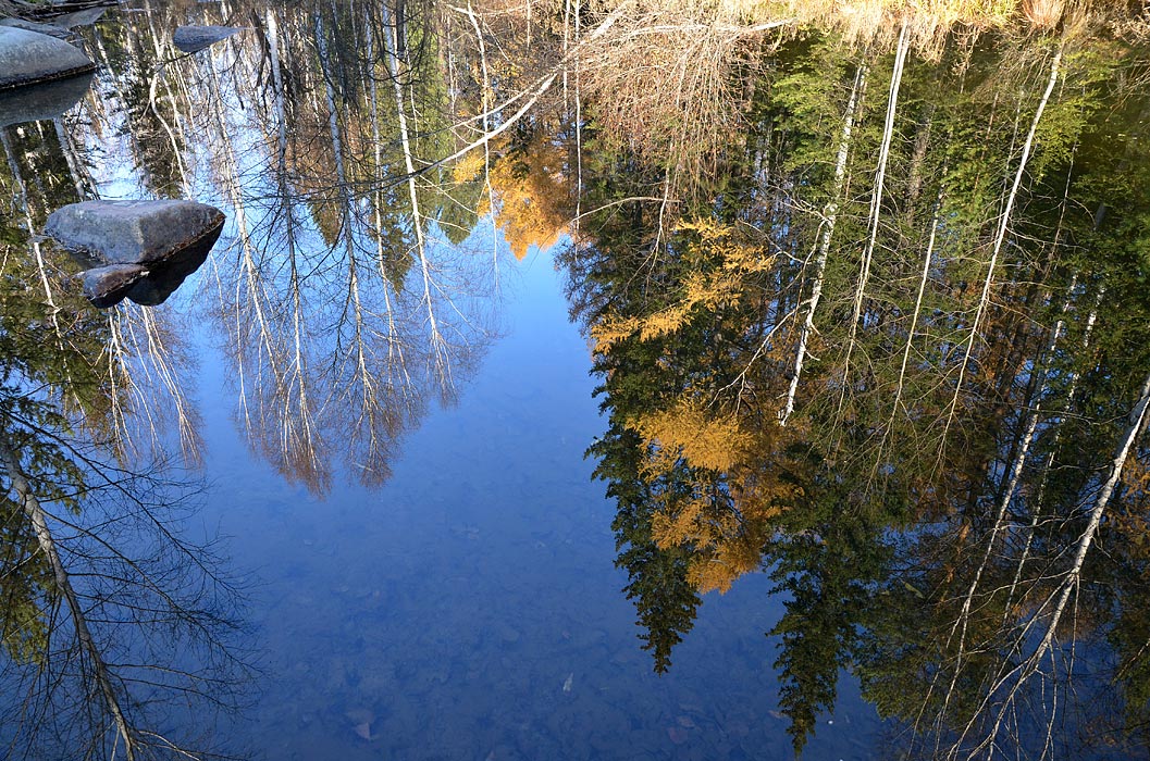 ����������� ��� �����