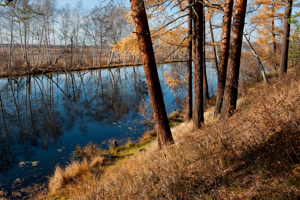 ������� ��� �����