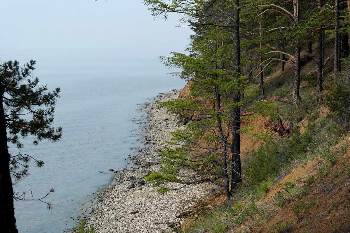 ������� � ���������