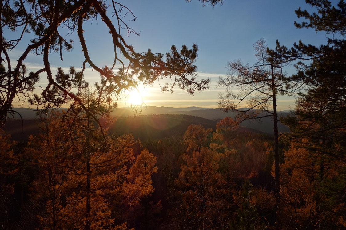 ����� ��� ������� ������