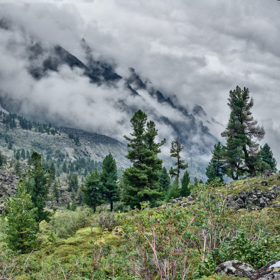 �������� � ������ �.�����-�������� 2