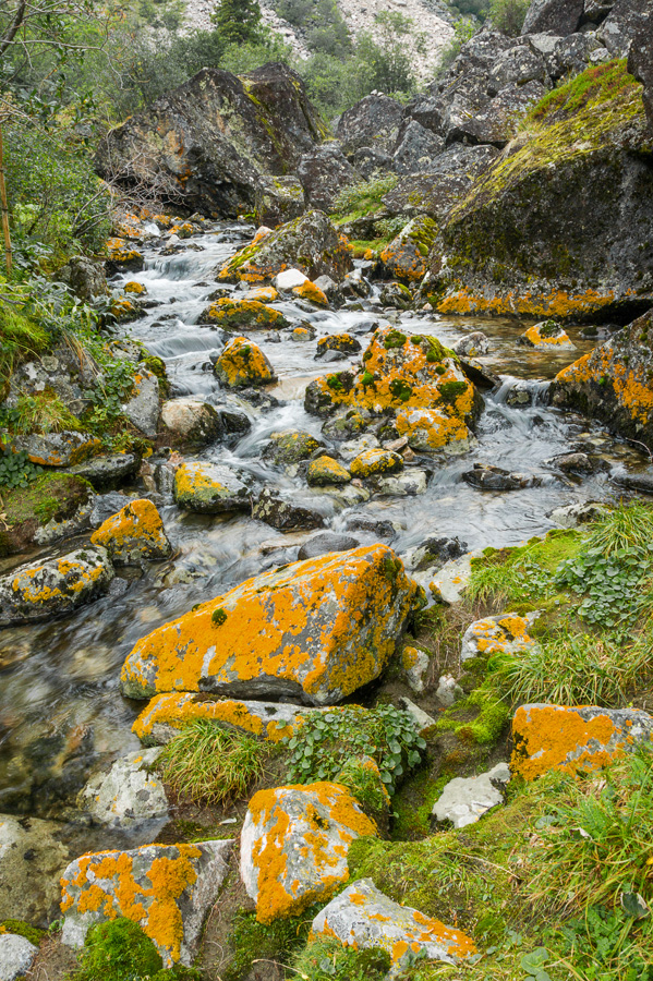 ����� ������ (�.�����-��������)