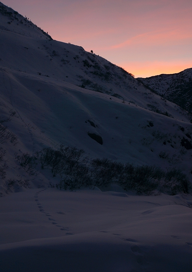 ���� � �����