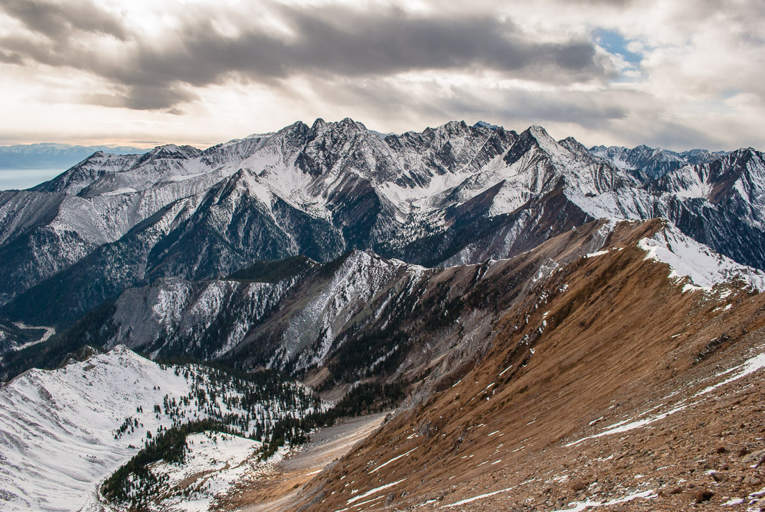 ��� � ���� ��������