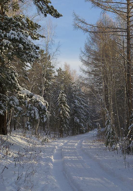 �� ������ ������ ������