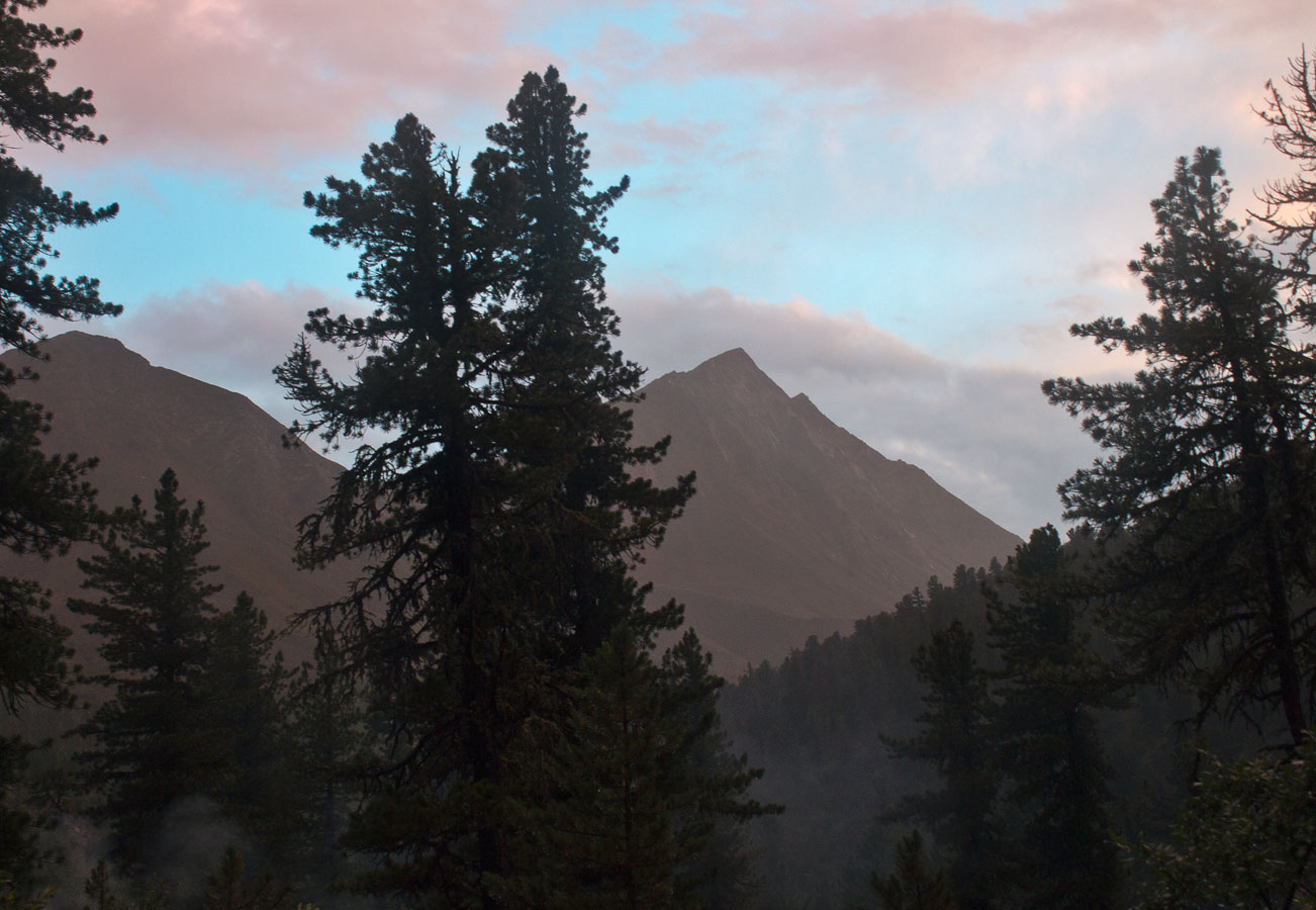 ����� �����