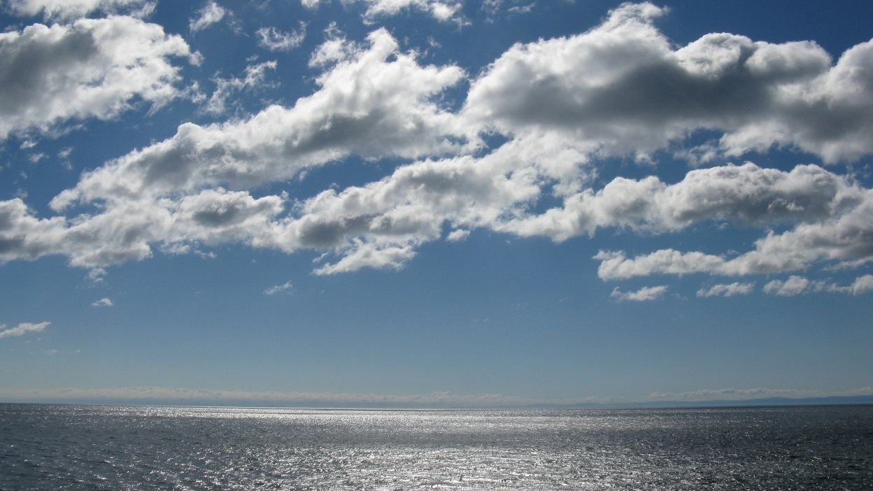 ������ ����