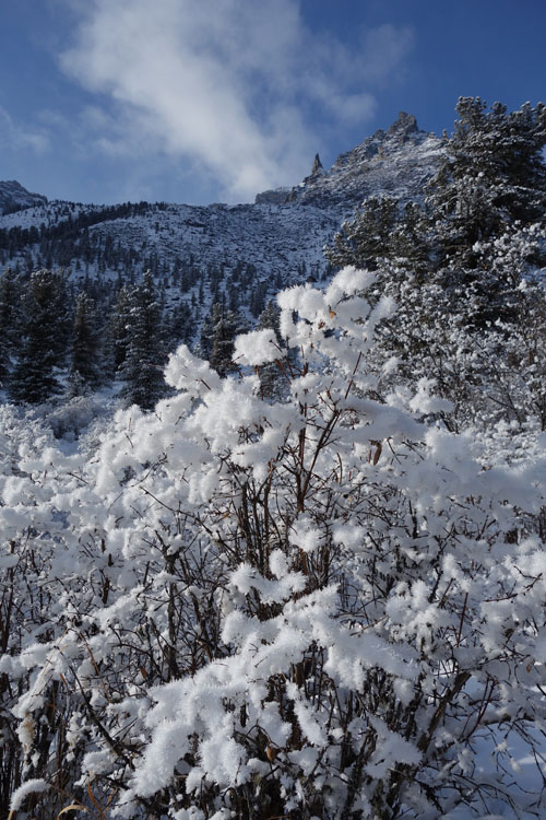 � ���-�� ����� ��� ������