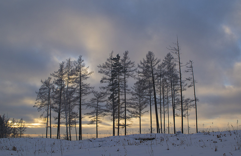 ����� 05.12.15