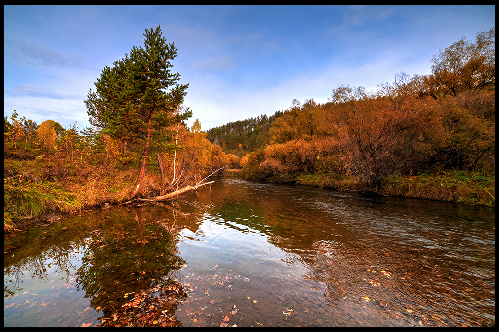 ������ �����