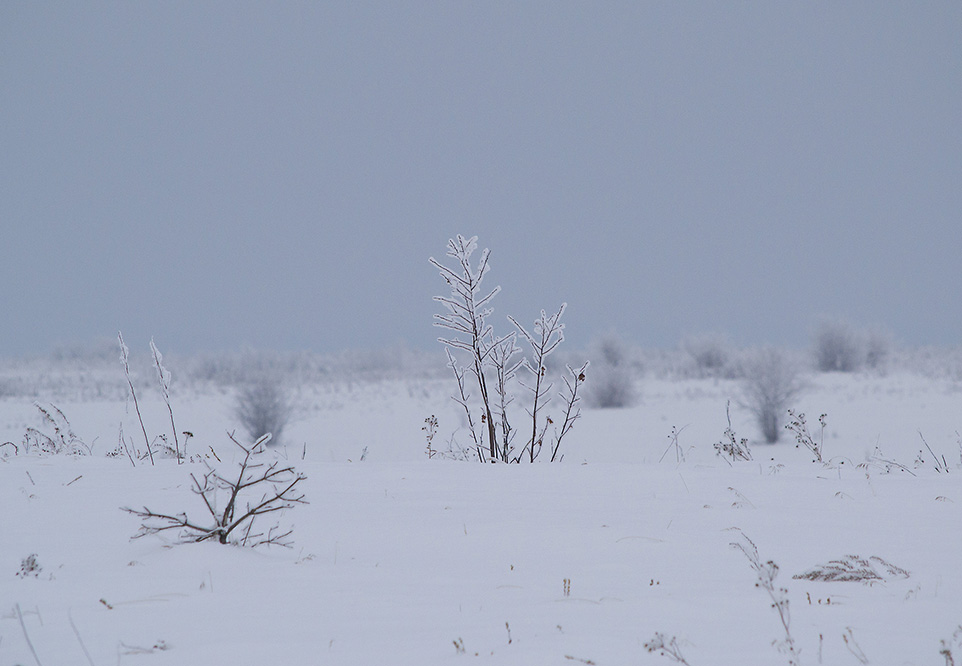 ����� ������� ������ � �������� ����������