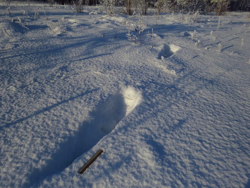 ��� �� ������� ������?