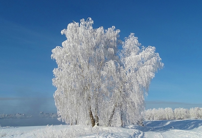 � �����!!!