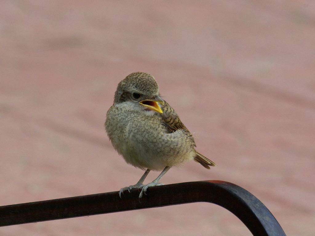 ���������� ��� �������!