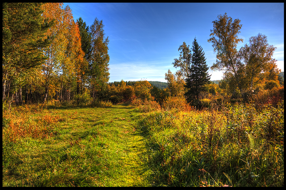 ������ �����