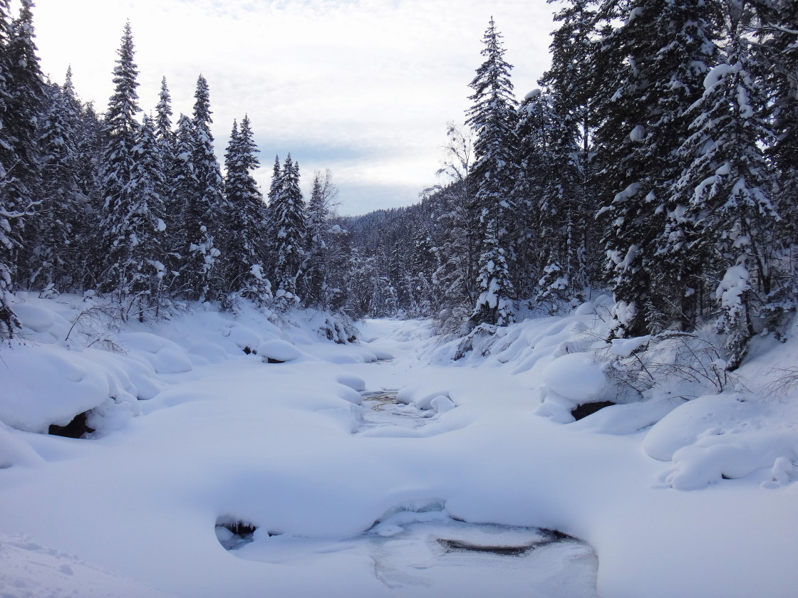 ��� �� ����� ����� �� ���� ��������