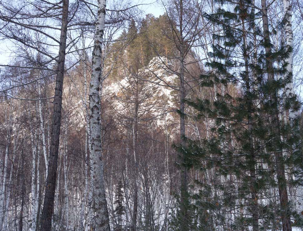 ���, ����������� �. �������� � ����� ��������