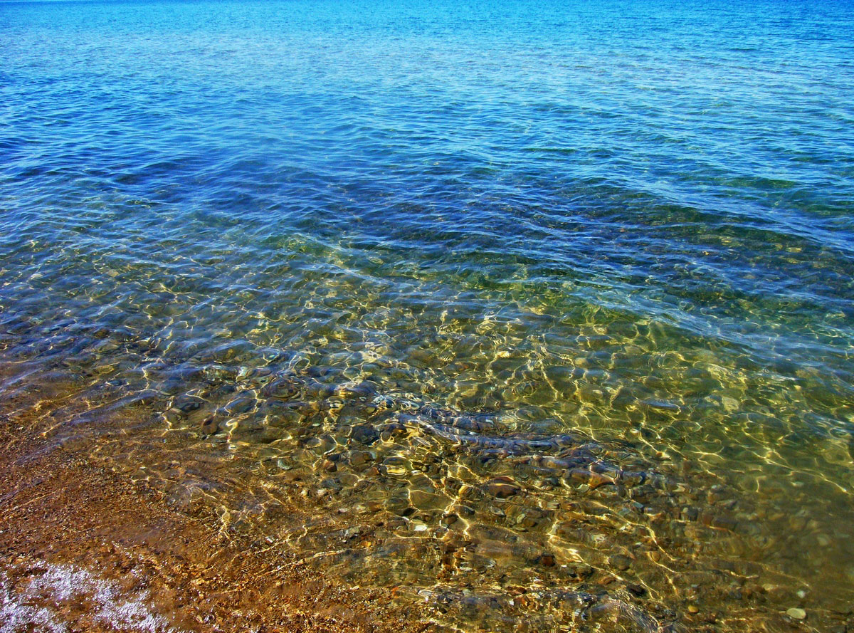 ����������� ��������