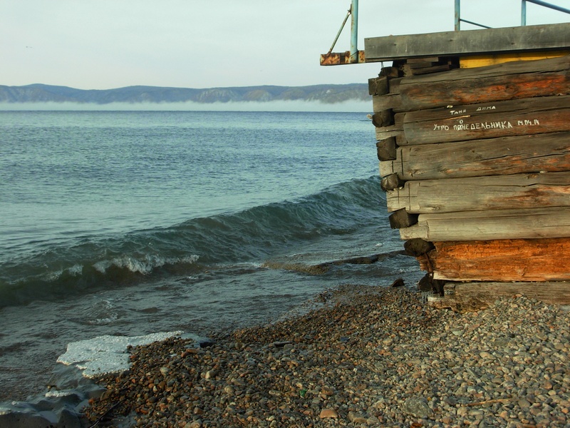 � ���������