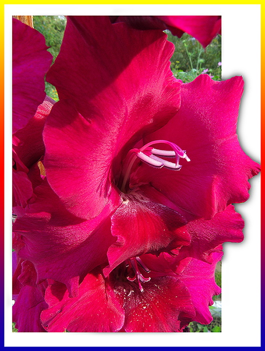 � 8 �����, ��������� ����